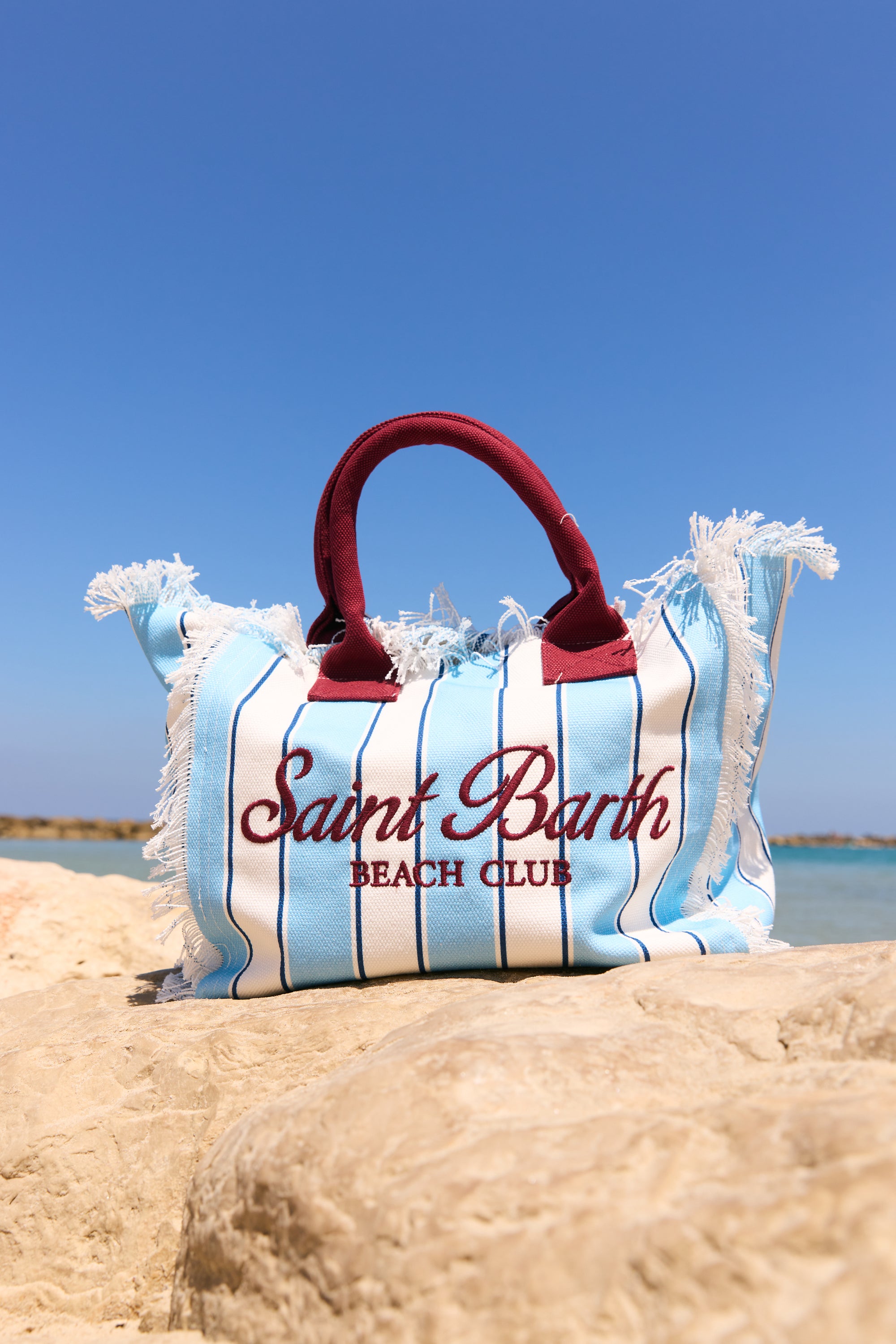 Canvas Vanity regular bag with light blue stripes and bordeaux details